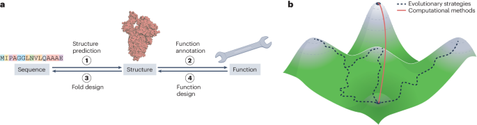 Opportunities and challenges in design and optimization of protein function