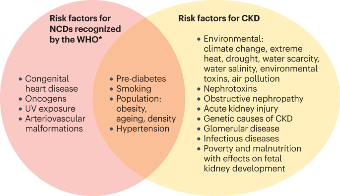 Chronic kidney disease and the global public health agenda: an international consensus