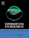 Validation of retinal oximetry vessel selection using fluorescein angiography in patients with optic disc drusen
