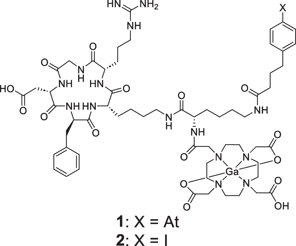 Optimizing the pharmacokinetics of an 211At-labeled RGD peptide with an albumin-binding moiety via the administration of an albumin-binding inhibitor
