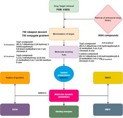 Chemoinformatics and machine learning techniques to identify novel inhibitors of the lemur tyrosine kinase-3 receptor involved in breast cancer