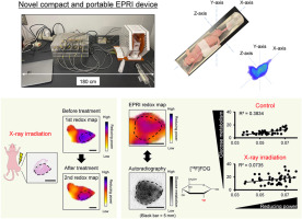 Feasibility study of multimodal imaging for redox status and glucose metabolism in tumor