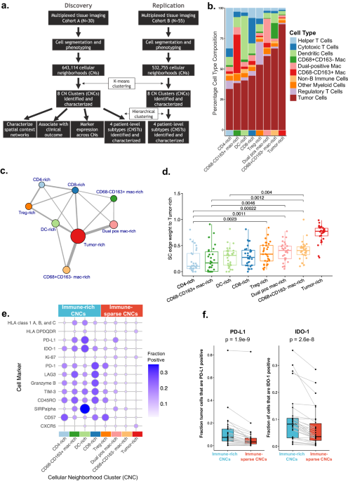 High-plex imaging and cellular neighborhood spatial analysis reveals multiple immune escape and suppression patterns in diffuse large B-cell lymphoma
