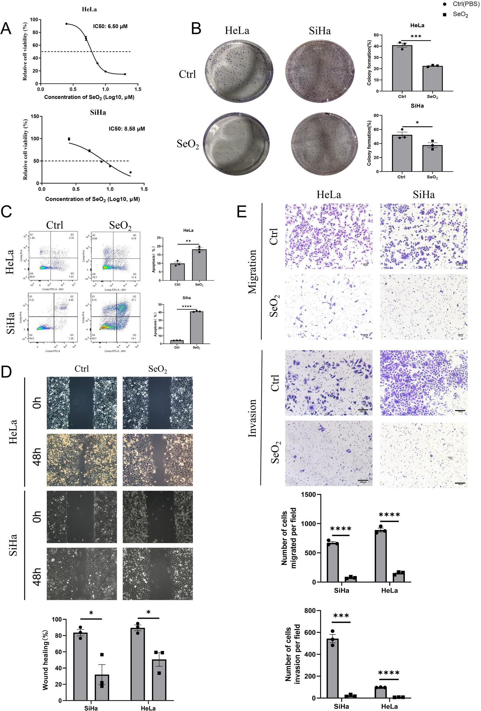 Targeting histone demethylases JMJD3 and UTX: selenium as a potential therapeutic agent for cervical cancer
