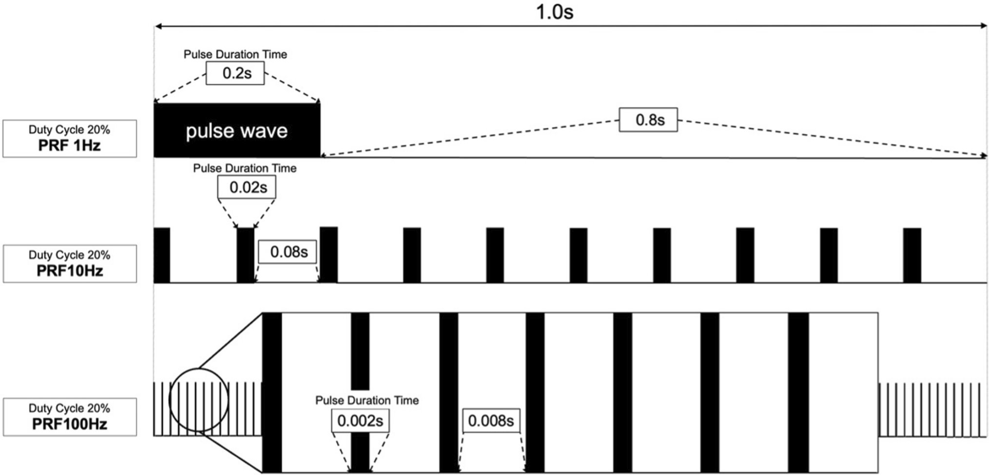 Facilitatory effect of low-pulse repetition frequency ultrasound on release of extracellular vesicles from cultured myotubes