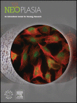 Corrigendum to “Characterizing the Therapeutic Potential of a Potent BET Degrader in Merkel Cell Carcinoma” [Neoplasia, Volume 21, Issue 3 (2019) 322–330]