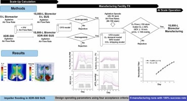 Validation of a CFD Model for Cell Culture Bioreactors at Large Scale and Its Application in Scale-Up