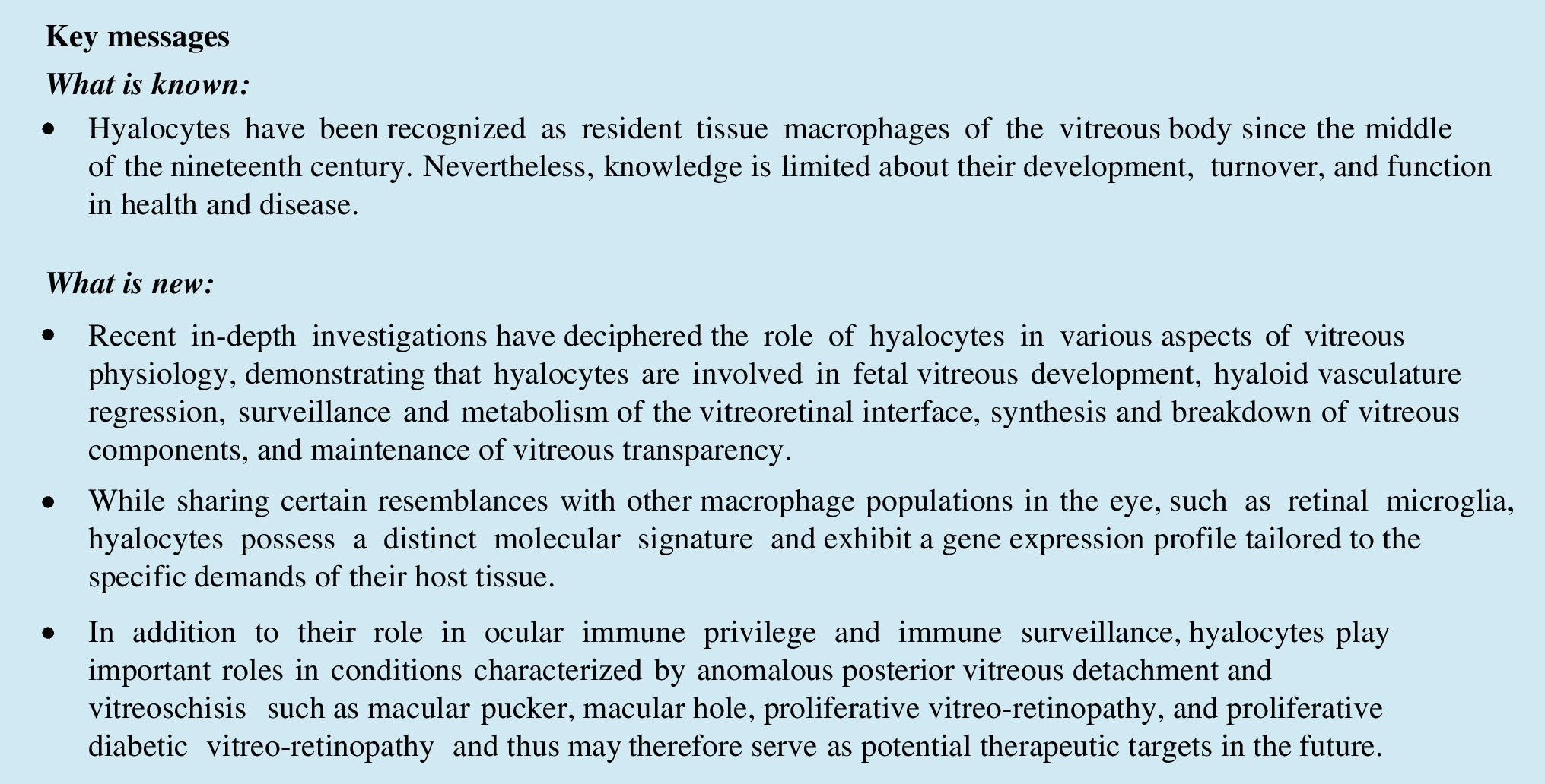 Hyalocytes—guardians of the vitreoretinal interface