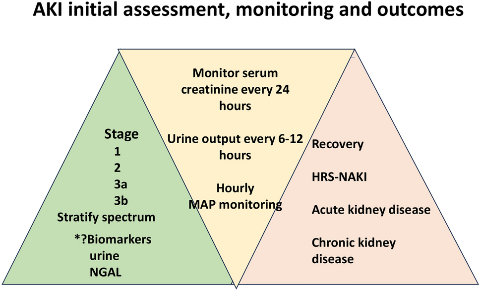 APASL clinical practice guidelines on the management of acute kidney injury in acute-on-chronic liver failure