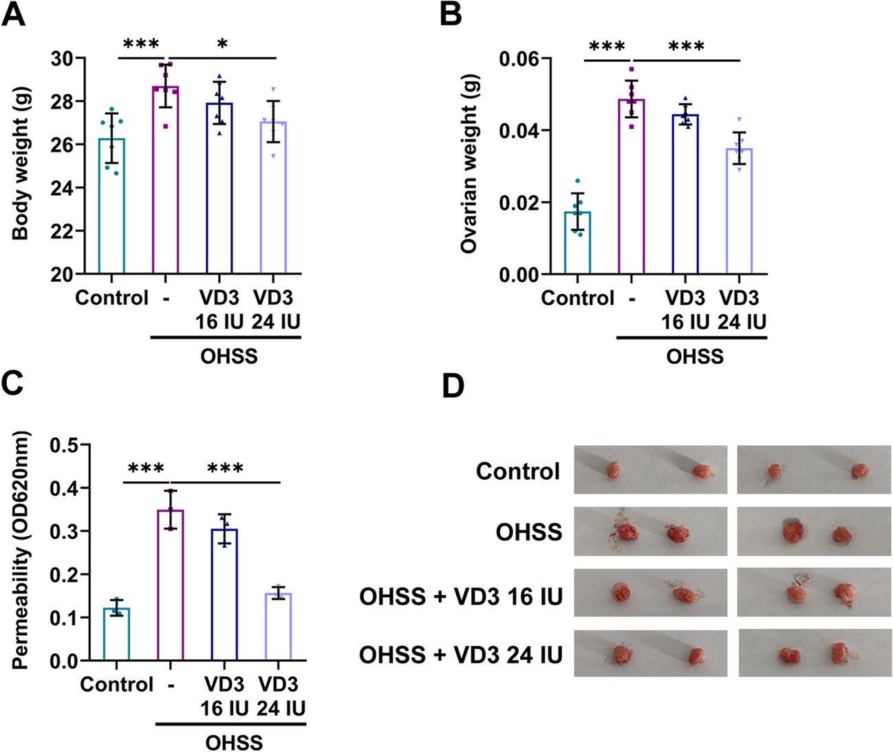 Vitamin D3 reduces the symptoms of ovarian hyperstimulation syndrome in mice and inhibits the release of granulosa cell angiogenic factor through pentraxin 3