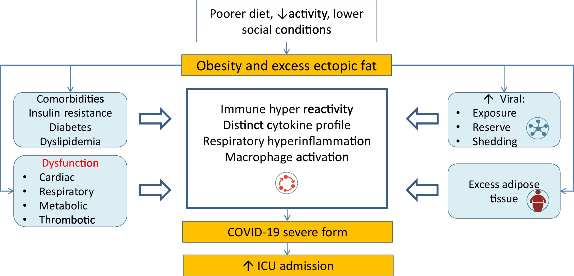 Specific and Non-specific Aspects and Future Challenges of ICU Care Among COVID-19 Patients with Obesity: A Narrative Review