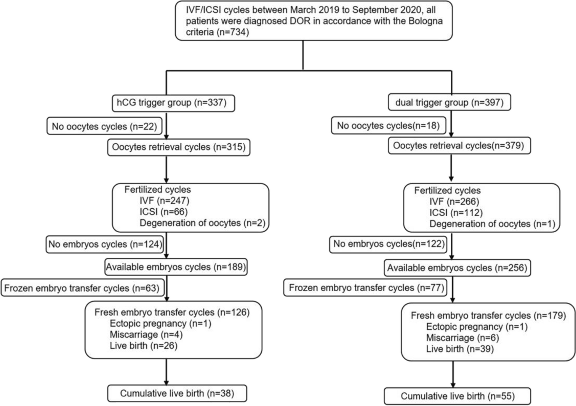 Reproductive outcomes of dual trigger therapy with GnRH agonist and hCG versus hCG trigger in women with diminished ovarian reserve: a retrospective study