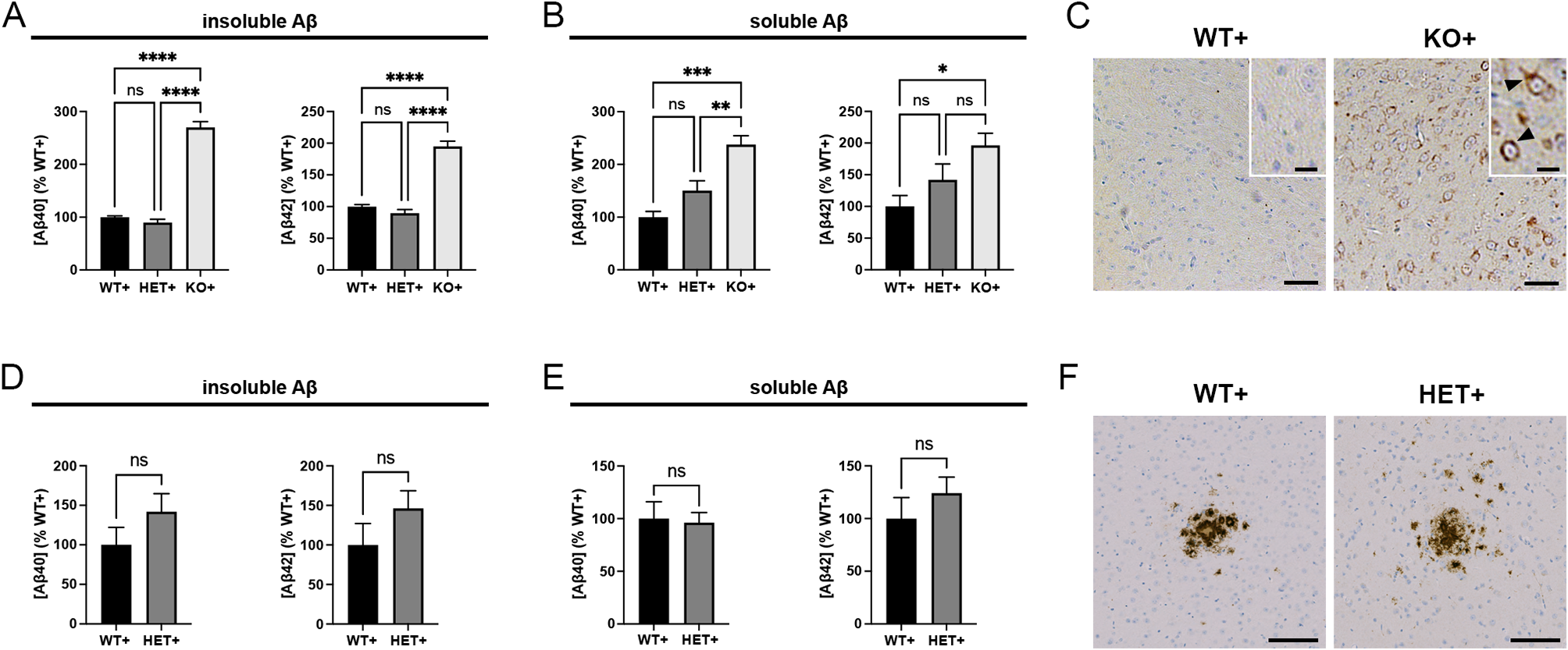 Prominent tauopathy and intracellular β-amyloid accumulation triggered by genetic deletion of cathepsin D: implications for Alzheimer disease pathogenesis