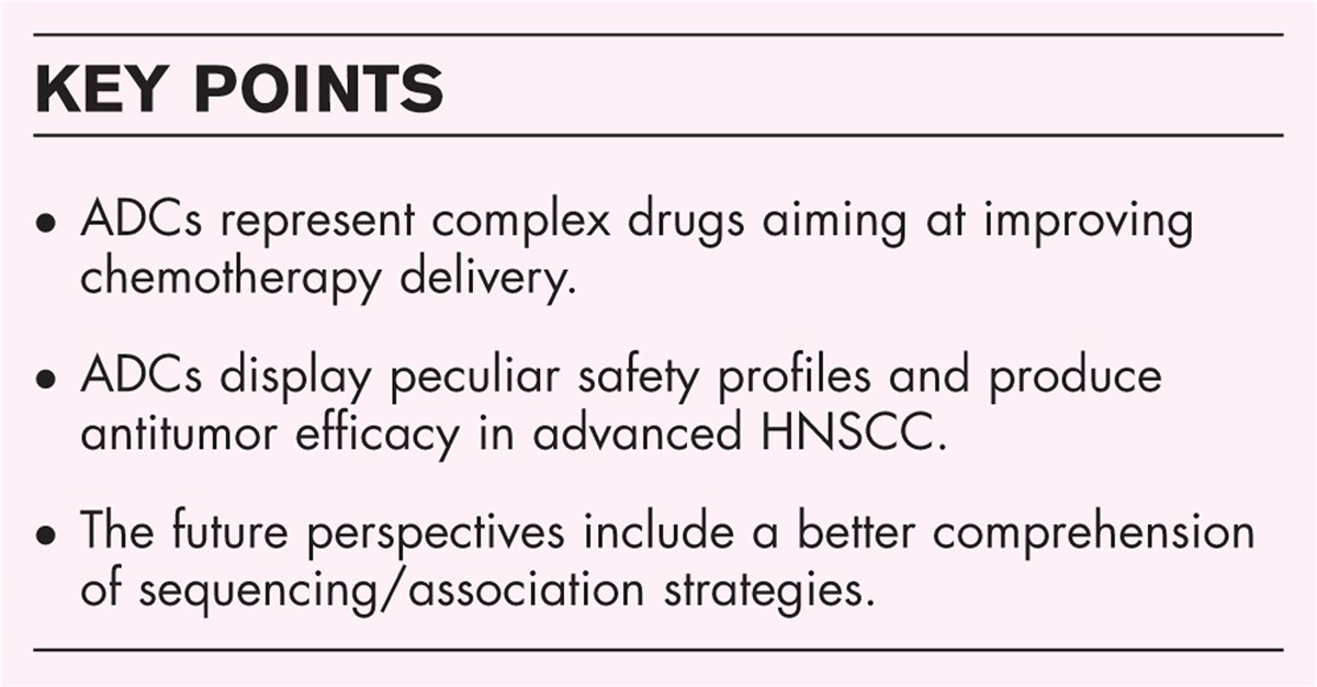 The potential roles of antibody-drug conjugates in head and neck squamous cell carcinoma