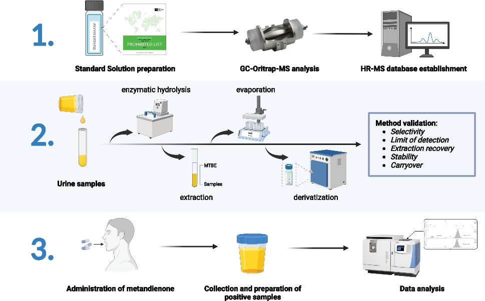 Screening anabolic androgenic steroids in human urine: an application of the state-of-the-art gas chromatography-Orbitrap high-resolution mass spectrometry