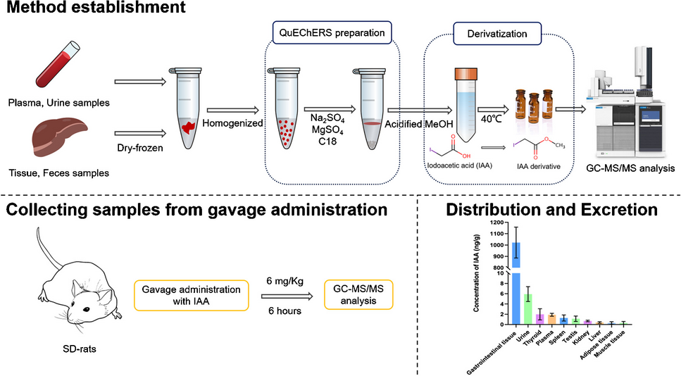 Development and validation of a GC–MS/MS method for the determination of iodoacetic acid in biological samples