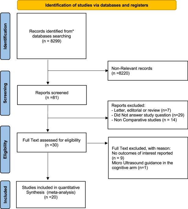 Prostate cancer detection and complications of MRI-targeted prostate biopsy using cognitive registration, software-assisted image fusion or in-bore guidance: a systematic review and meta-analysis of comparative studies