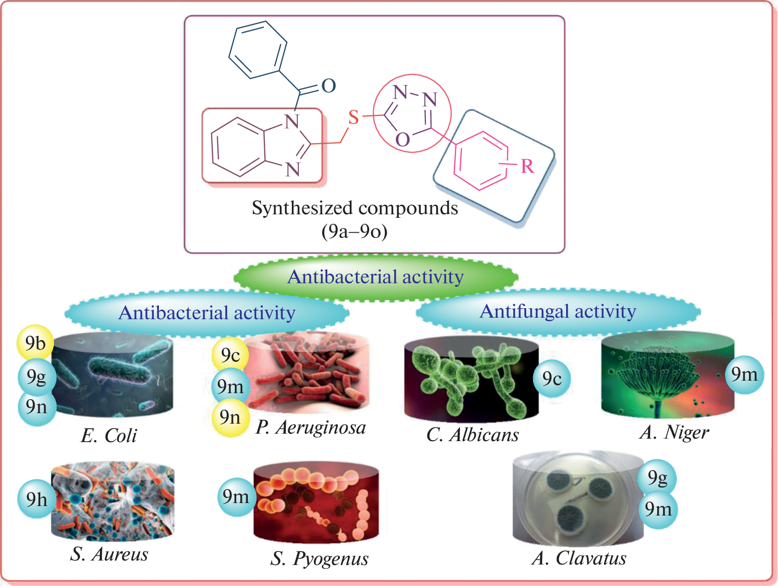 Synthesis and Biological Evaluation Studies of Novel 1,3,4-Oxadiazole and Benzo[d]imidazole Scaffolds as Promising Antimicrobial Agents