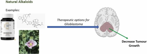Advances in Glioblastoma Multiforme: Integrating Therapy and Pathology Perspectives