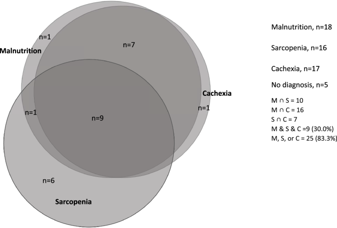 Malnutrition, sarcopenia and cachexia: exploring prevalence, overlap, and perceptions in older adults with cancer
