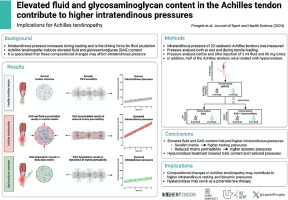 Elevated fluid and glycosaminoglycan content in the Achilles tendon contribute to higher intratendinous pressure: Implications for Achilles tendinopathy