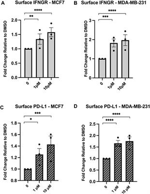Hsp90 inhibition leads to an increase in surface expression of multiple immunological receptors in cancer cells