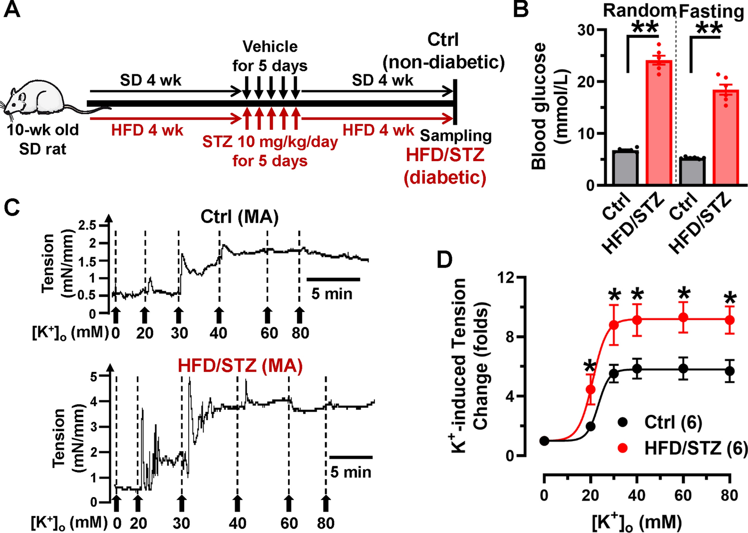 Aberrant splicing of CaV1.2 calcium channel induced by decreased Rbfox1 enhances arterial constriction during diabetic hyperglycemia