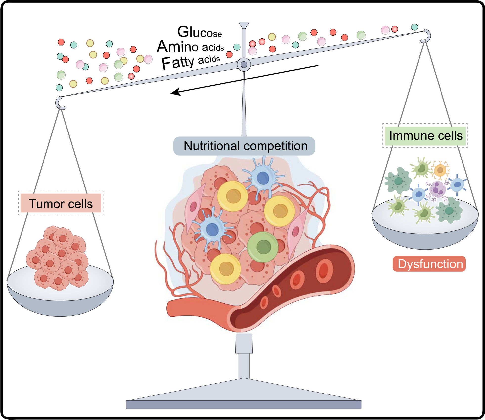 Cancer immunometabolism: advent, challenges, and perspective
