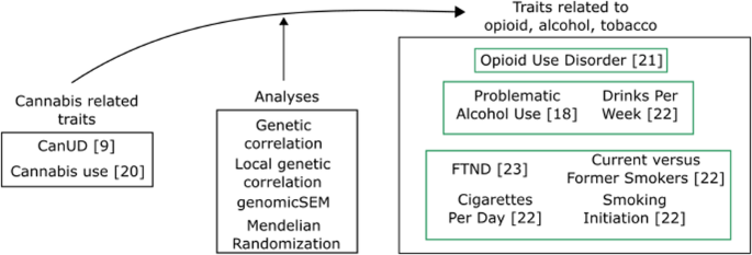 Genetic influences and causal pathways shared between cannabis use disorder and other substance use traits
