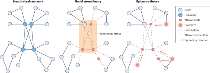 Support for network theories of schizophrenia