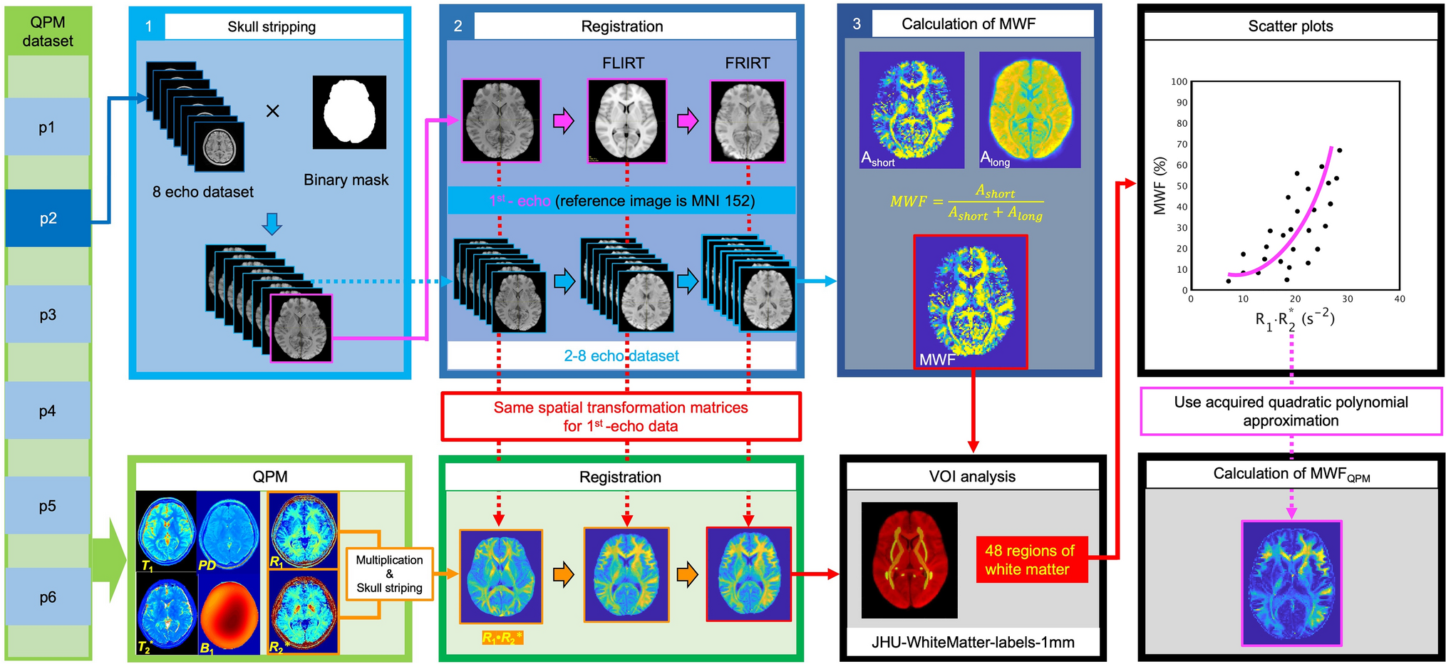 Conversion map from quantitative parameter mapping to myelin water fraction: comparison with R1·R2* and myelin water fraction in white matter