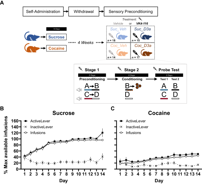 The selective D3Receptor antagonist VK4-116 reverses loss of insight caused by self-administration of cocaine in rats
