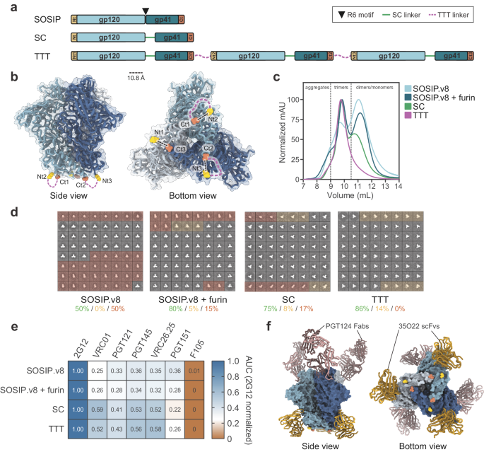 Triple tandem trimer immunogens for HIV-1 and influenza nucleic acid-based vaccines