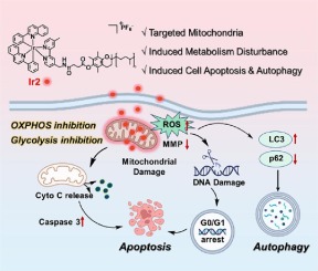 Dual inhibition of oxidative phosphorylation and glycolysis to enhance cancer therapy