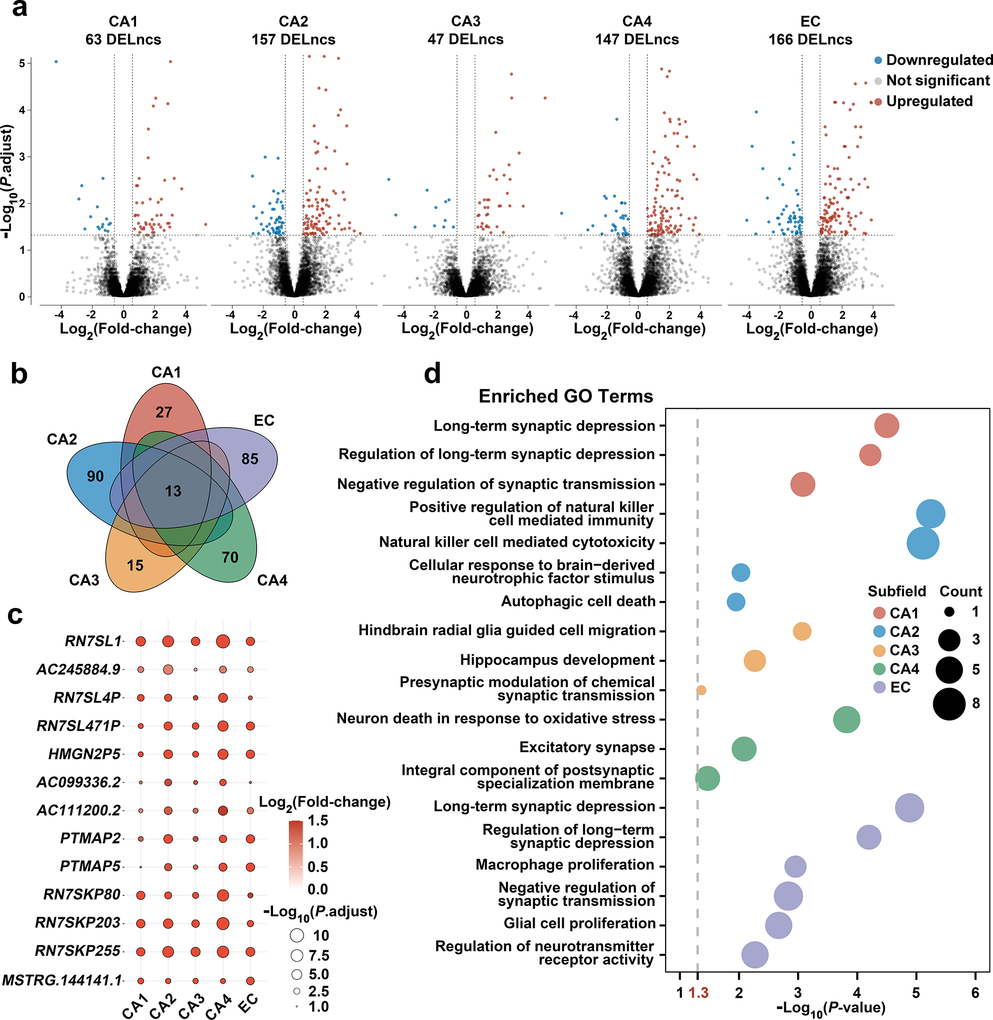 Profiling of long non-coding RNAs in hippocampal–entorhinal system subfields: impact of RN7SL1 on neuroimmune response modulation in Alzheimer’s disease