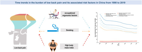 Time trends in the burden of low back pain and its associated risk factors in China from 1990 to 2019