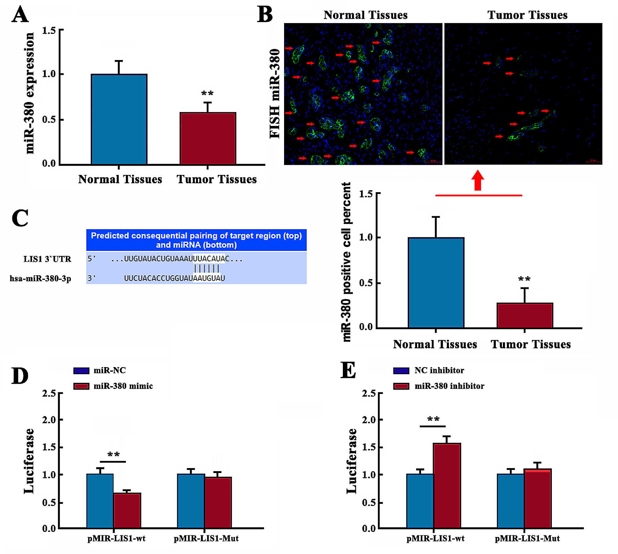 MiR-380 inhibits the proliferation and invasion of cholangiocarcinoma cells by silencing LIS1