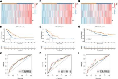 Characterization of polyamine metabolism predicts prognosis, immune profile, and therapeutic efficacy in lung adenocarcinoma patients