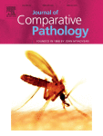 Annual congress of the European Society of Veterinary Pathology and the European College of Veterinary Pathologists