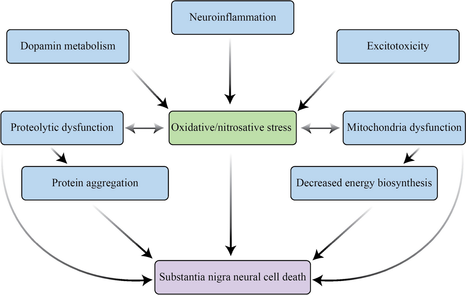 The Interaction Between Nutraceuticals and Gut Microbiota: a Novel Therapeutic Approach to Prevent and Treatment Parkinson’s Disease
