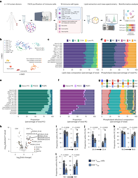 A lipid atlas of human and mouse immune cells provides insights into ferroptosis susceptibility