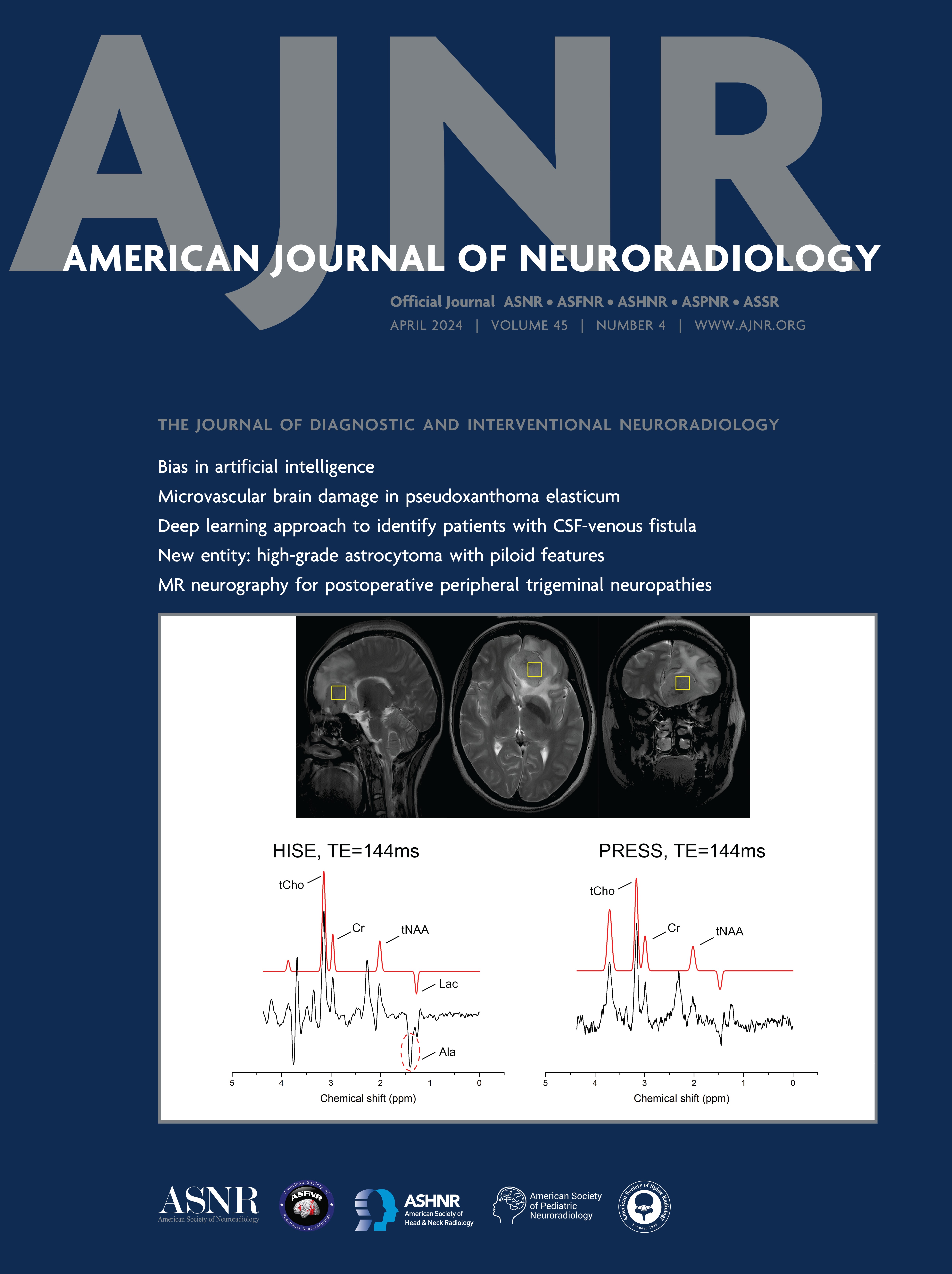 Introducing Our New AJNR Early Career, Women in Neuroradiology, and Global Neuroradiology Awards [EDITORIALS]