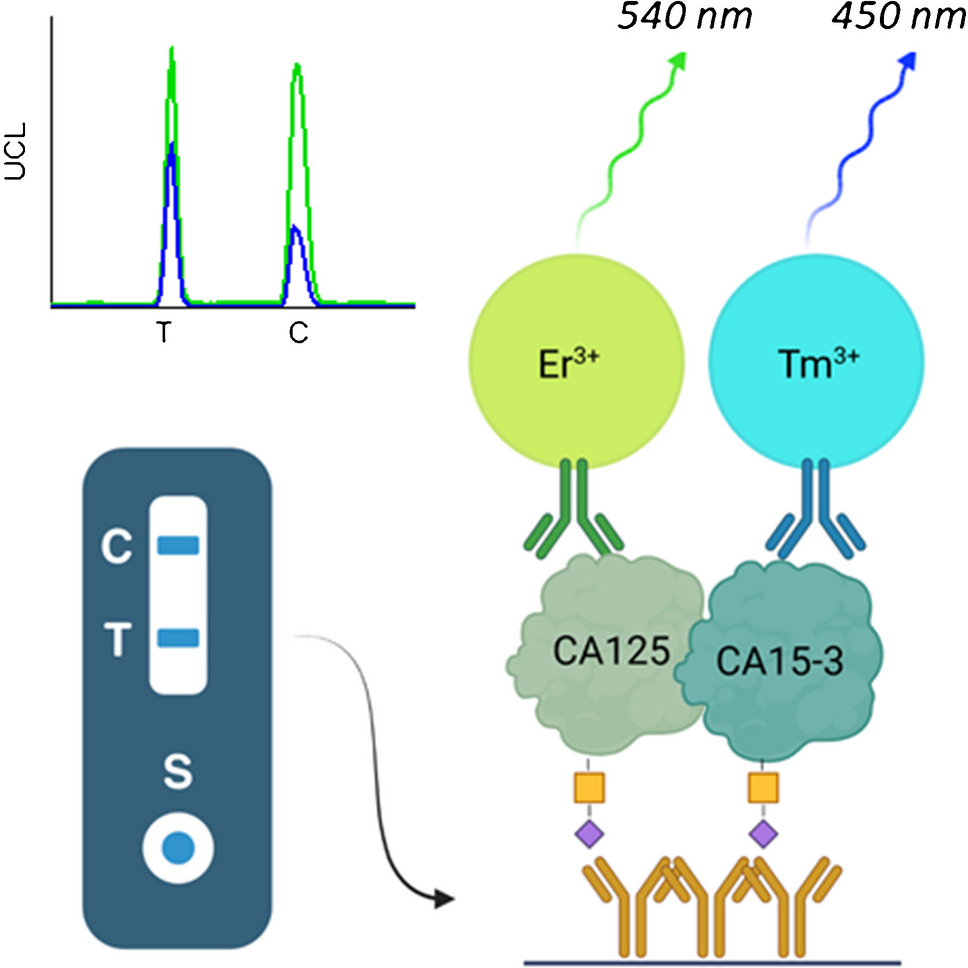 Spectrally separated dual-label upconversion luminescence lateral flow assay for cancer-specific STn-glycosylation in CA125 and CA15-3