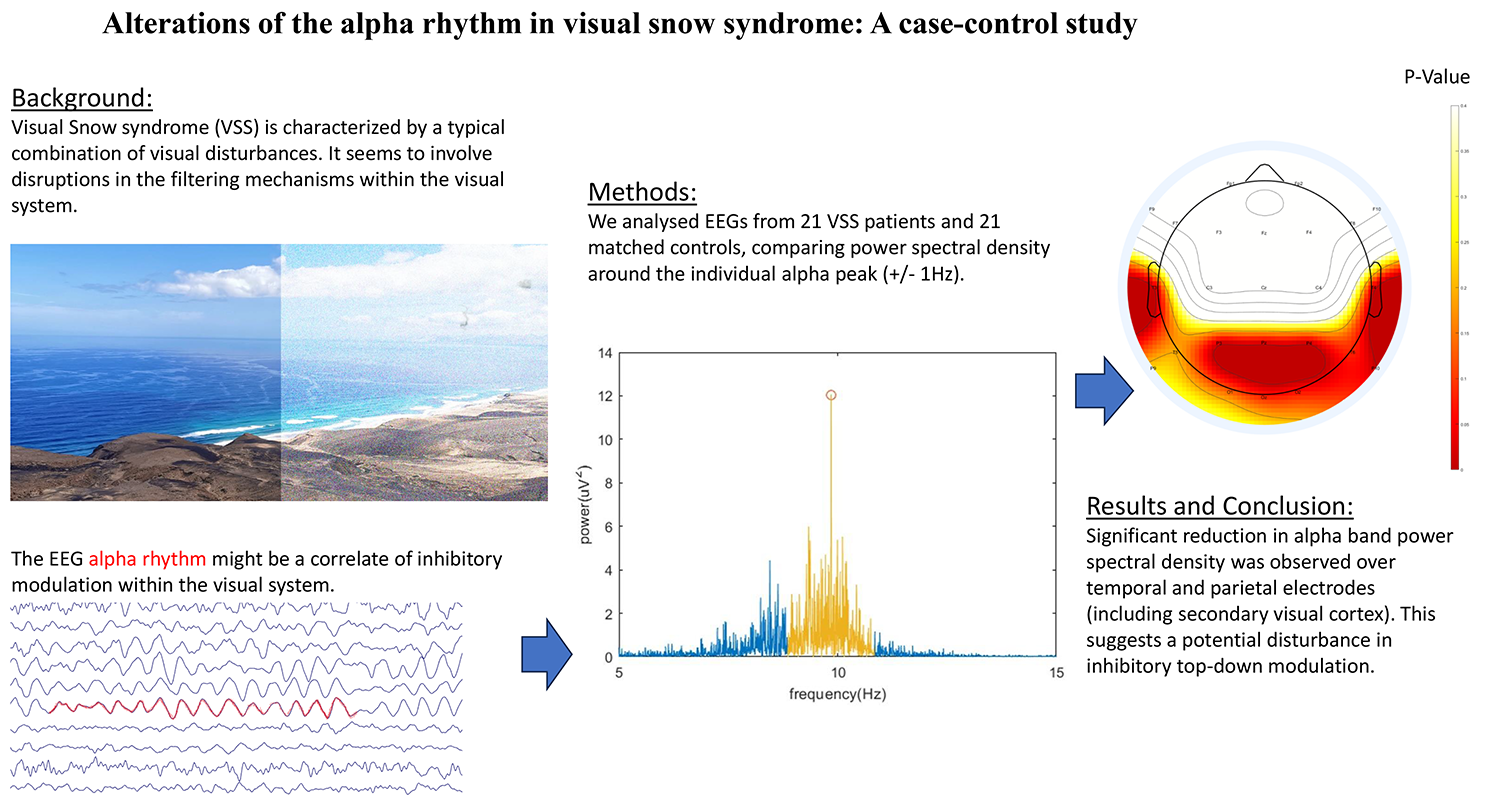 Alterations of the alpha rhythm in visual snow syndrome: a case-control study