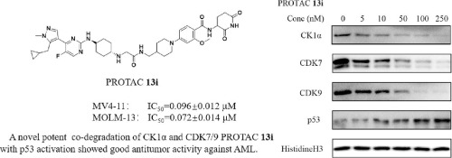 Discovery of novel co-degradation CK1α and CDK7/9 PROTACs with p53 activation for treating acute myeloid leukemia