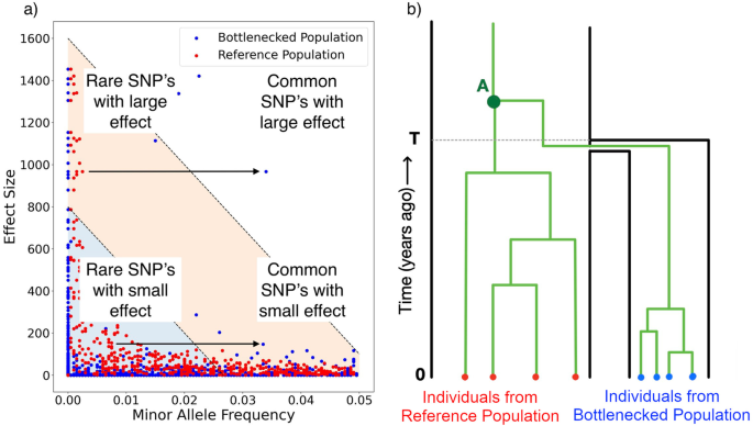 Heritability of complex traits in sub-populations experiencing bottlenecks and growth