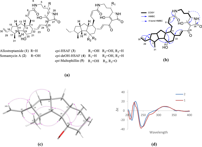 A new polycyclic tetramate macrolactam from Allostreptomyces RD068384: stereochemistry and antifungal potential