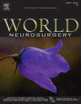 What is the Philosophy of Neurosurgery? Systematic Review and Defining the Discipline