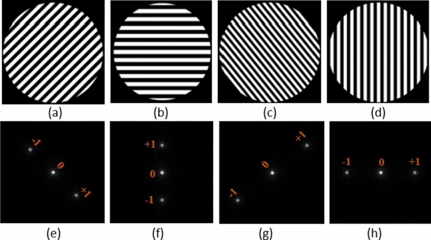 Beam manipulation and force estimation in a dynamic holographic optical tweezers