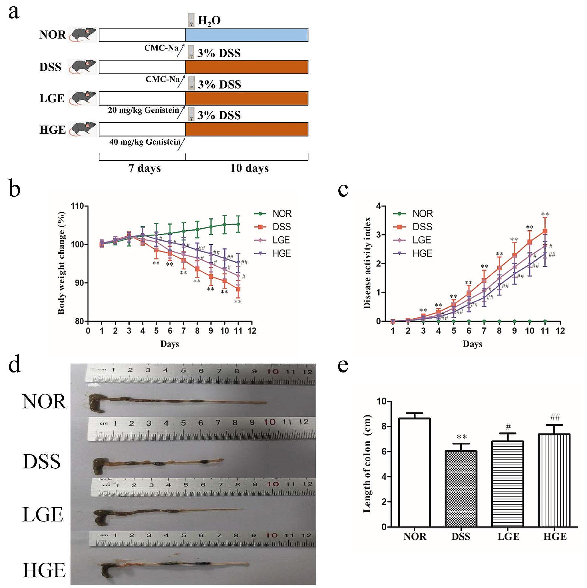 Genistein alleviates dextran sulfate sodium-induced colitis in mice through modulation of intestinal microbiota and macrophage polarization